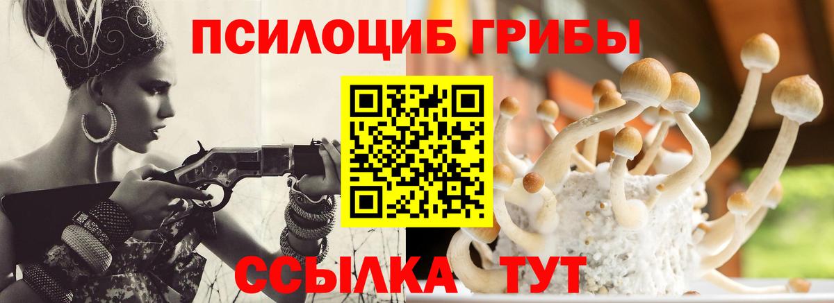 Псилоцибиновые грибы MAGIC MUSHROOMS  Вход с VPN  Минеральные Воды 